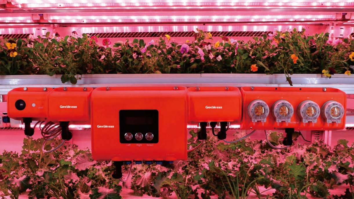 Plant lighting (Healthy lighting)